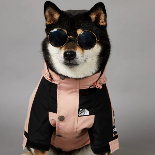 Premium Winter Warm Dog Jacket