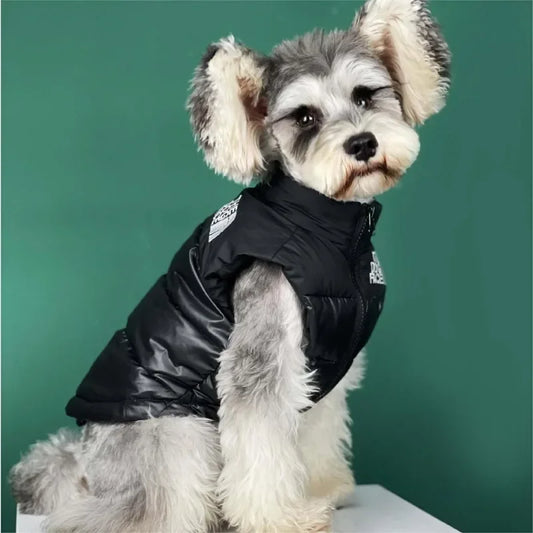 Autumn Winter Dog Face Jacket